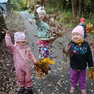 .trashed-1763029847-img