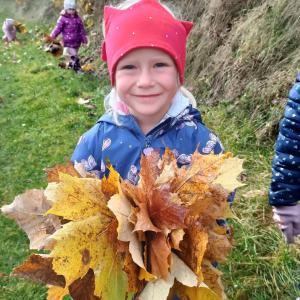 .trashed-1763029855-img