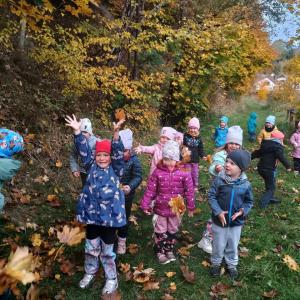 .trashed-1763029892-img